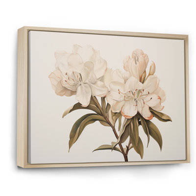 " Rhododendron Graceful Minimalism III "