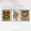 Haeckel Colourful Vintage Illustrations Plant Anemone Study - 3 Piece No Frame Print Set-1712354167