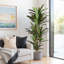 Red Faux Dracaena Tree In Plastic Pot