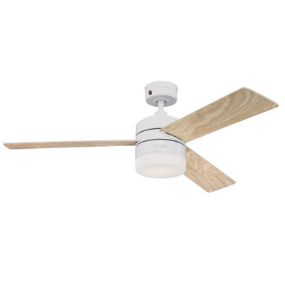 Enosburgh Ceiling Fan with LED Lights