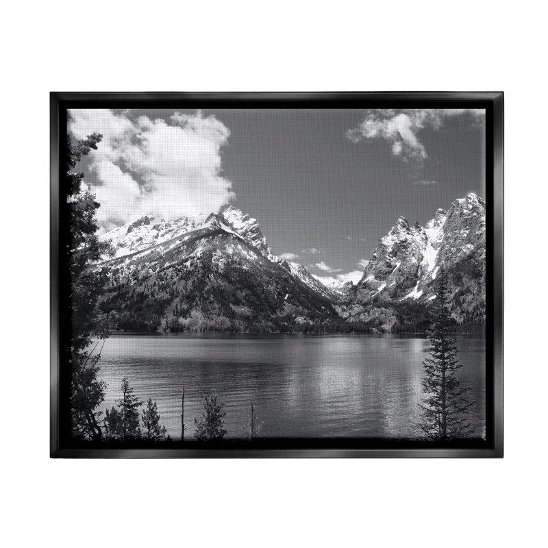 «Nature Pond Landscape» par Steve Toole, Cadre flottant noir de jais, H 25 po x l 31 po x P 1,7 po