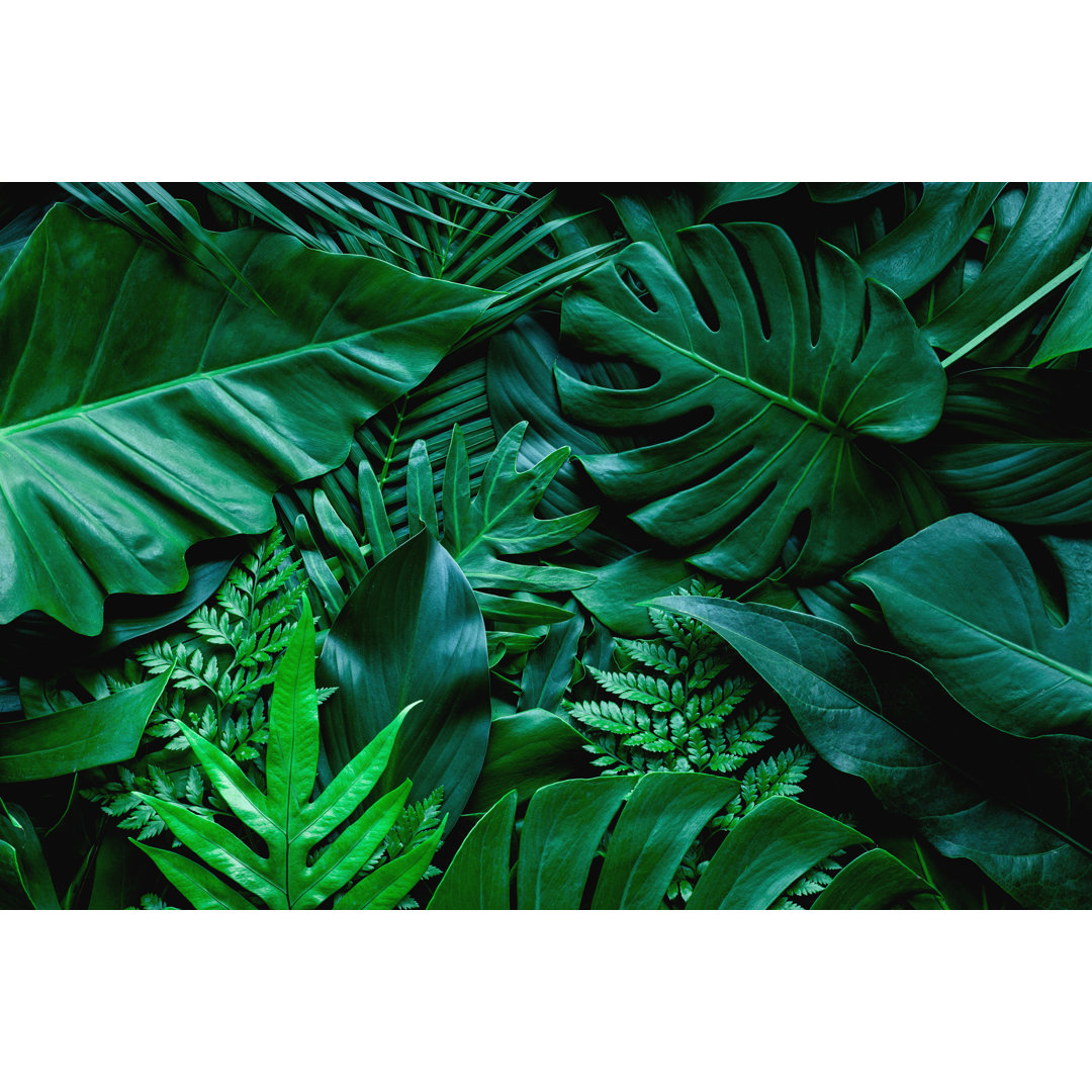Green Monstera Leaf And Palms Background by Thanabodin Jittrong - Wrapped Canvas Print