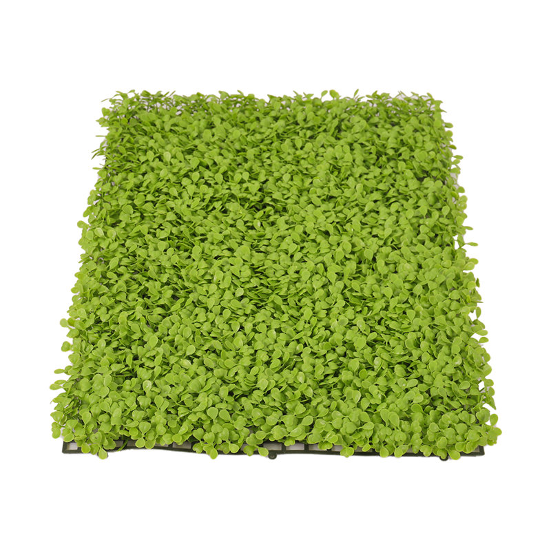 60cm Plant