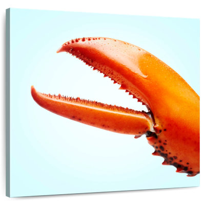 Brampt Red Lobster Claw