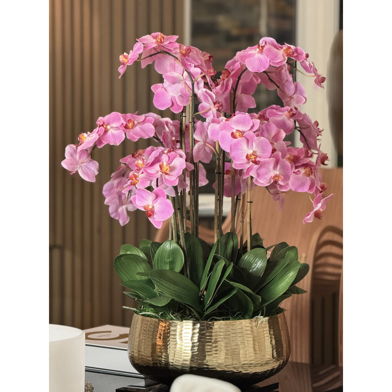 Roberi Orchid Arrangement in Planter, 38" H x 22" W x 22" D