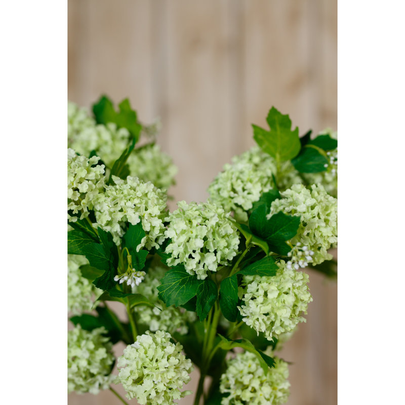 Snowball Viburnum Spray, Green