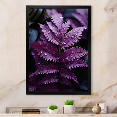 Aurthur " Prupel Ferns Amethyst Shadows "