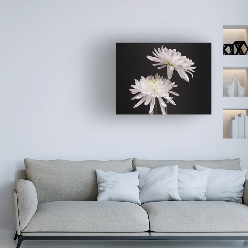Art sur toile, Kelly Kelly, H 14 po x l 19 po