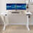 Fanchon Electric Height Adjustable Standing Desk-1333153728-1314955139