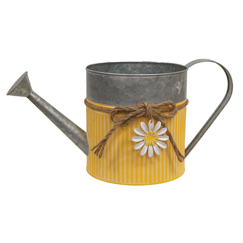 Gracie Oaks Watering Can