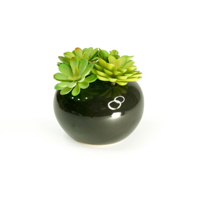 7.5'' Faux Succulent in Ceramic Vase