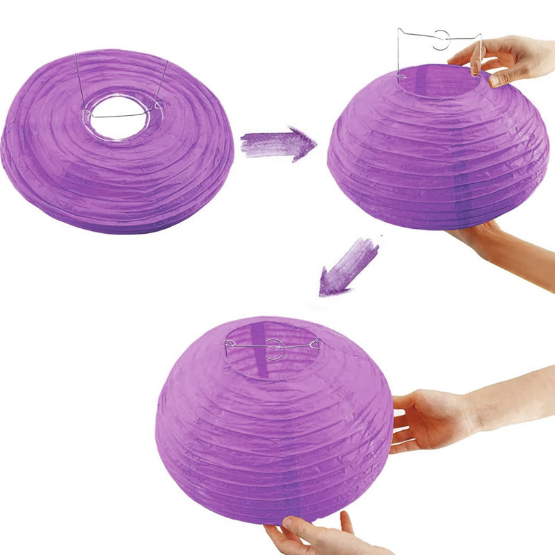 Lantern, Purple