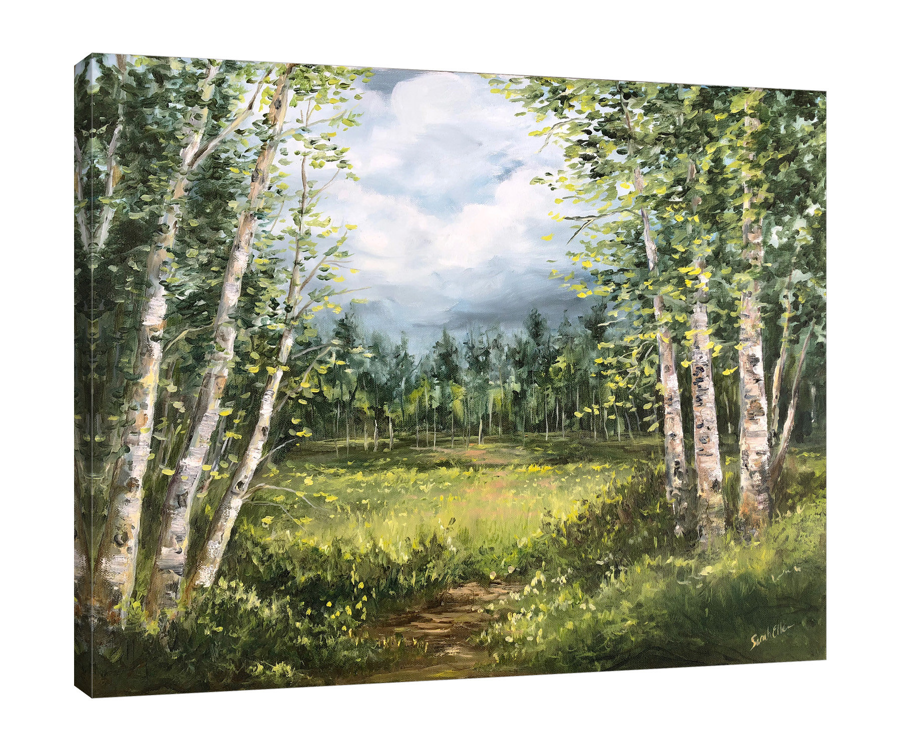 Millwood Pines Aspen Meadow II - Wrapped Canvas Print | Wayfair