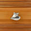 2" Conch Shell Right Facing Knob-39948747