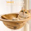  Tour pour arbre à chat en bois massif avec poteau à griffes, tours pour chat de 62 pouces de hauteur avec capsule et condo, tour pour chat moderne avec échelle d'escalade et lit supérieur amovible pour chats d'intérieur.