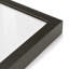 Cactus noir et blanc par Nadja-1676799771-1676638996-1676638998