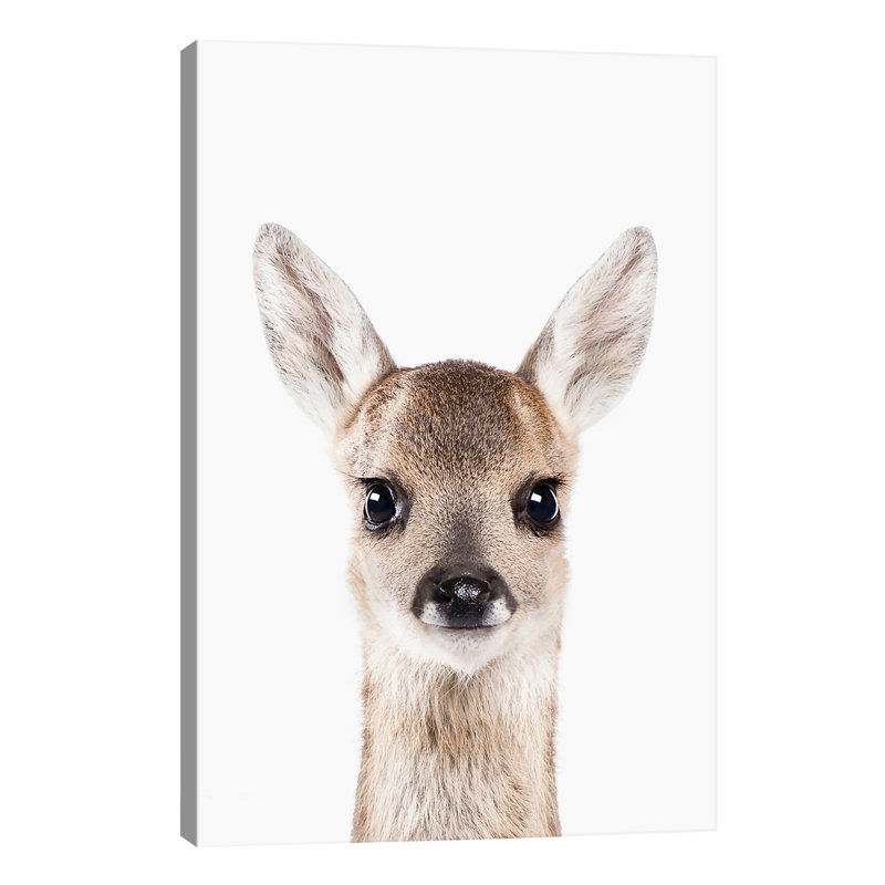 Fawn - Wrapped Canvas Print, 66.04 cm H x 45.72 cm W x 1.91 cm D