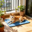 Tapis de glace portatif antidérapant pour animaux de compagnie Summer Cooling Pet Pad 39,4 x 27,6 po, bleu-131214775