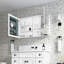 Armoire de rangement à miroir biseauté pour salle de bain l 48 po x H 30 po - Bois d'ingénierie et salle de bain spacieuse 48 po x 30 po-119301733