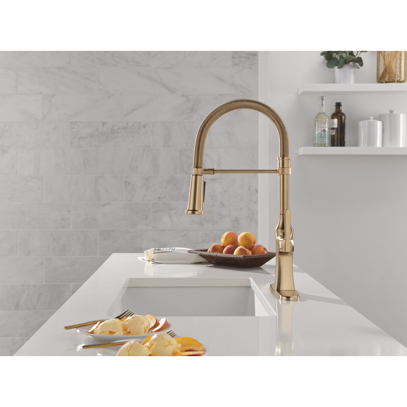 Ermelo Pro Commercial Style Kitchen Faucet, Pull Down Sprayer Kitchen Sink Faucet, Champagne Bronze