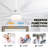 65" 8-Blade White Ceiling Fan with Lights and Remote Control, 6-Speed, 3-Color, DC Motor Ceiling Fan for Living Room