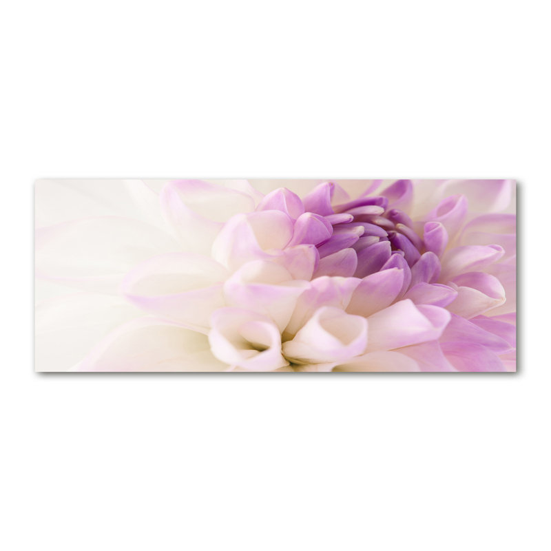 White Dahlia - Wrapped Canvas Print