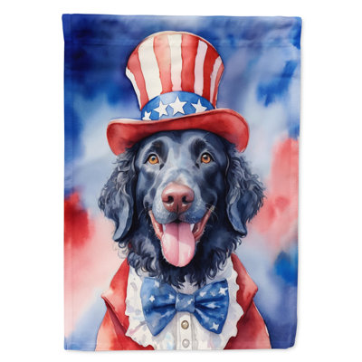 Patriotic American House Flag