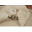 Tapis indien en laine fait à la main de style Gabbeh 7 x 7