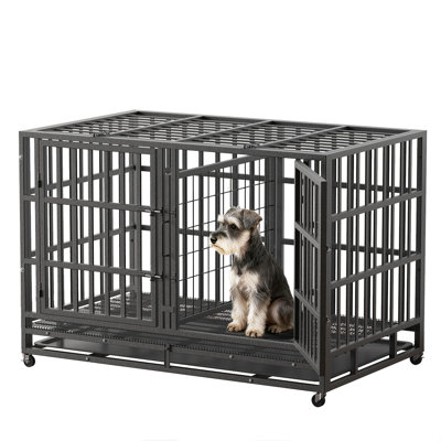 Cage pour chien 48 "avec cloison pour 2 chiens petits / moyens, meubles pour cage avec plateau amovible, noir et extérieur