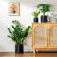 ZTHPOT Ceramic Pot Planter-260701788