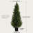 60''Artificial Cedar Tree Set In A Pot,fake tree