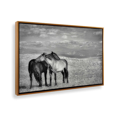Equine Companionship Canvas Print