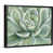 Black Framed Canvas is unavailable