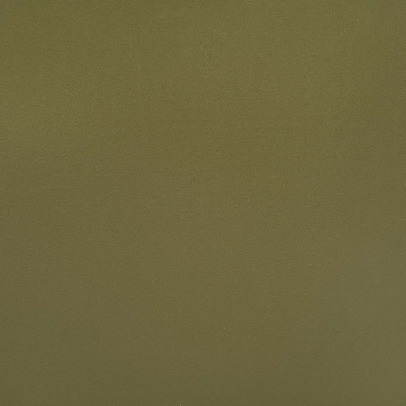 DUMBO 63" Mid-Century Modern TV Stand with 6 Shelves and 2 Drawers, Olive Green