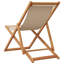 21-2 Polyester/Polyester Blend Camping / Beach Folding Chair Folding Chair-105675906