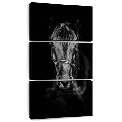 Black Horse Up Close