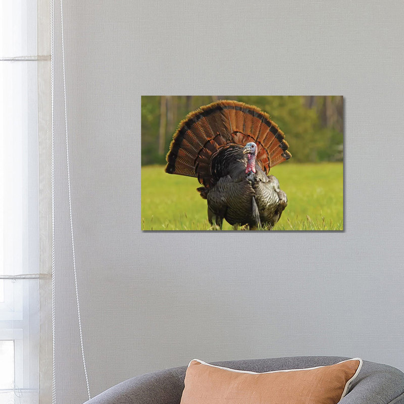Full Strut 1 Piece Wrapped Canvas Wall Art, 66.04 cm H x 45.72 cm W x 3.175 cm D