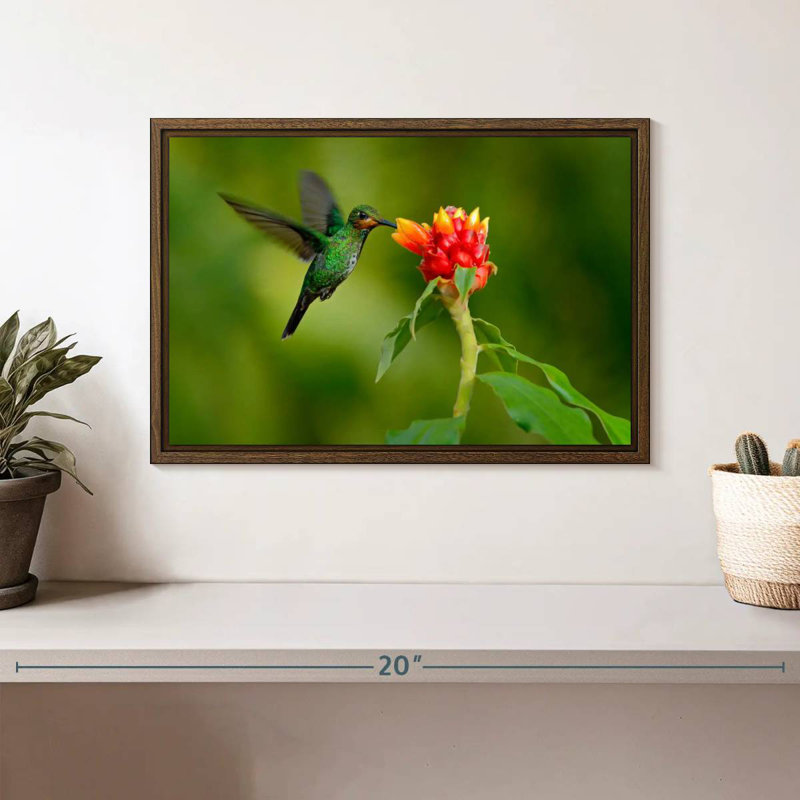 Fleur et colibri vert, 13 po x 9 po, Cadre flottant noyer