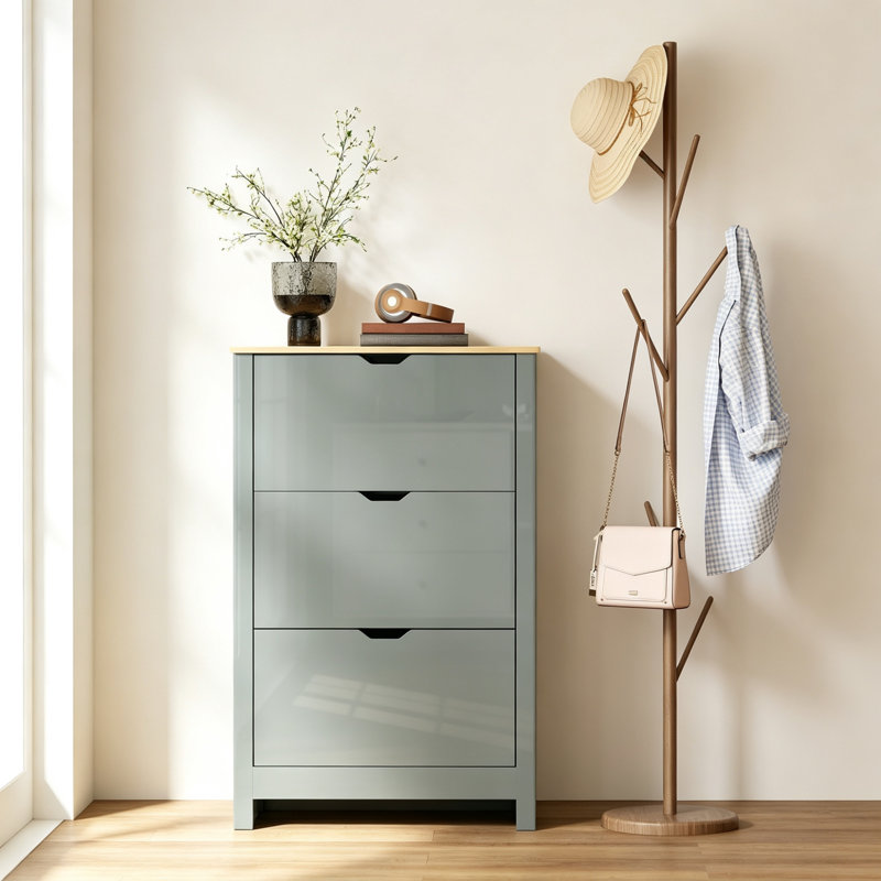 12 Pair Shoe Storage
