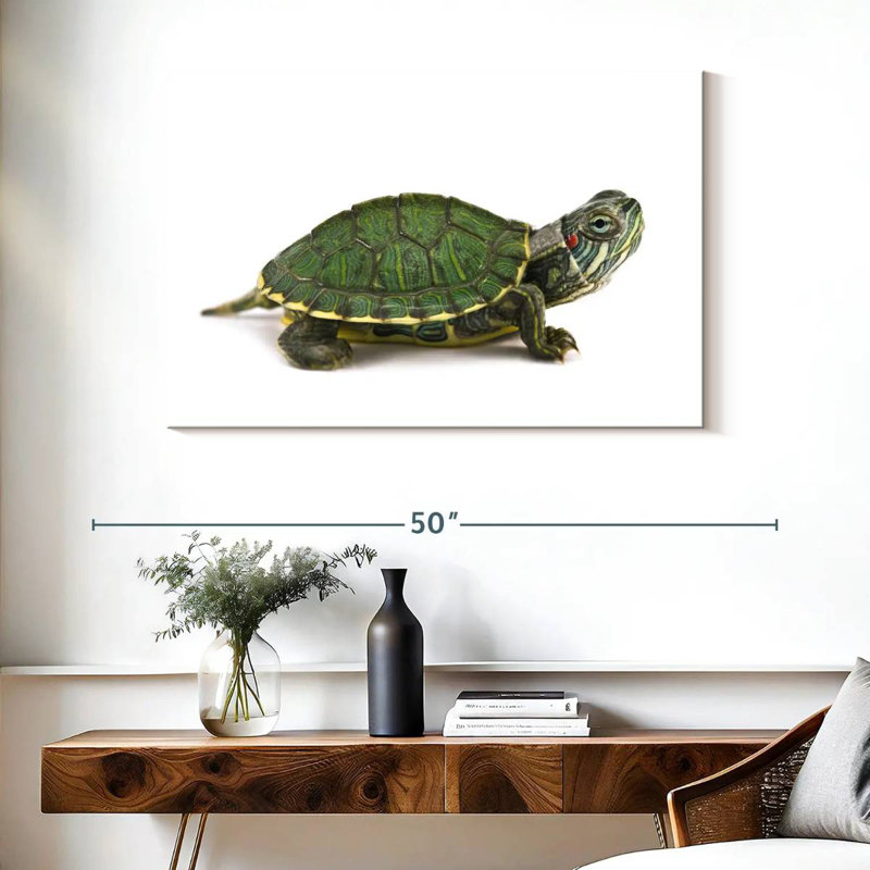 Red Eared Turtle, 26" H x 39" W