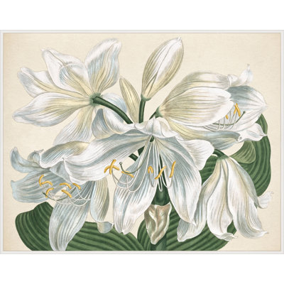 White Blooms 2' Framed Print on Canvas