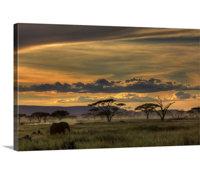 "Afrique" par Amnon Eichelberg, "Straub" par Straub
