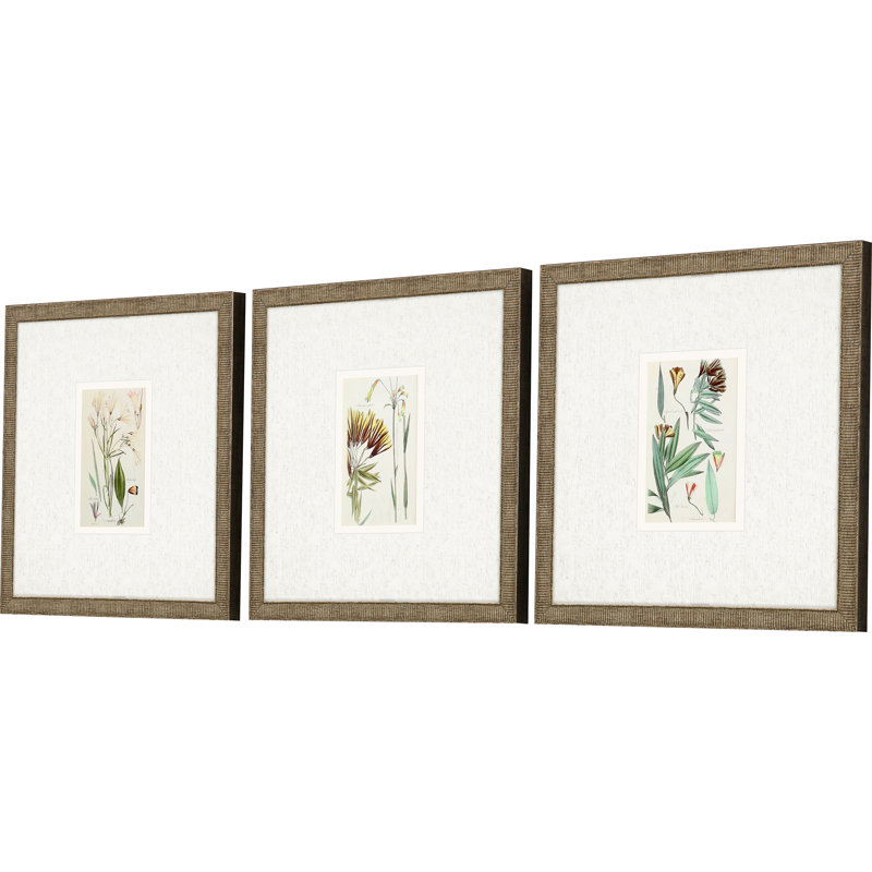 Ensemble de trois reproductions d'art encadrées dorées