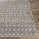 Hongming Indoor / Outdoor Rug