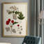 Feuilles et baies III-88435407-88435406