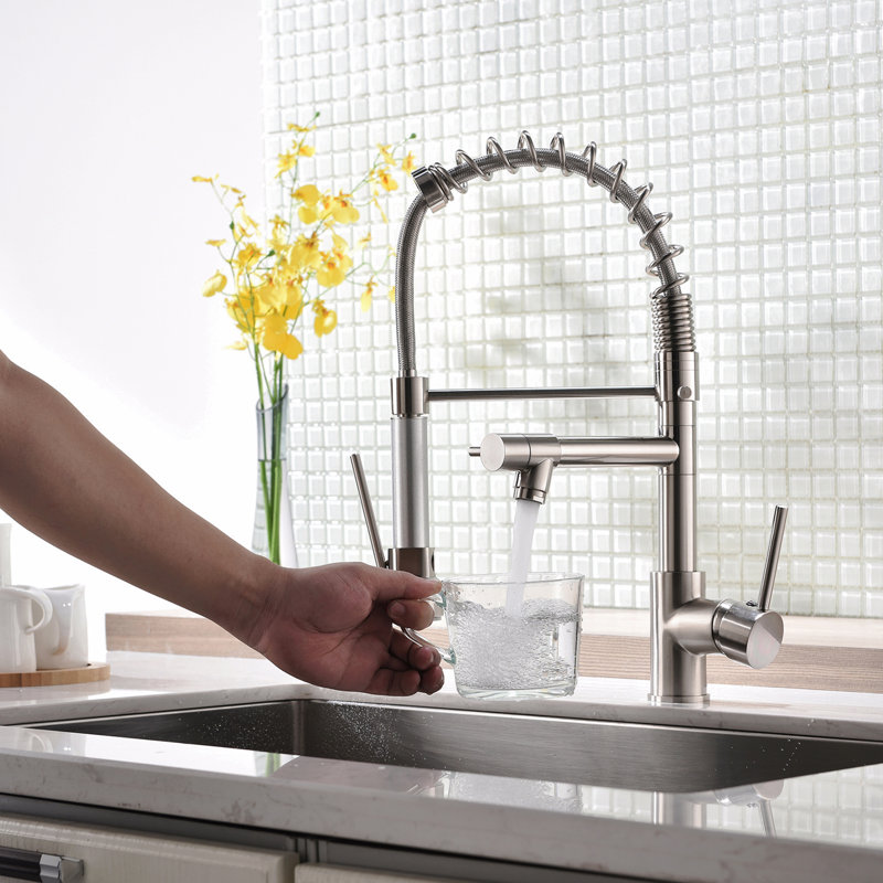 Robinet de cuisine avec douchette rétractable, robinet d'évier de cuisine à poignée simple