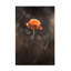 Art sur toile Fabien BRAVIN Le Flamboyant-105651820