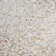 Baroque 0.25" X 0.75" Seashell Brick Joint Mosaic Wall Tile