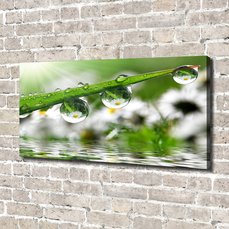 Drops on the Grass 1 Piece Wrapped Canvas Wall Art
