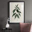 Soft Greenery II - reproduction de cadre photo-465944468-465944471